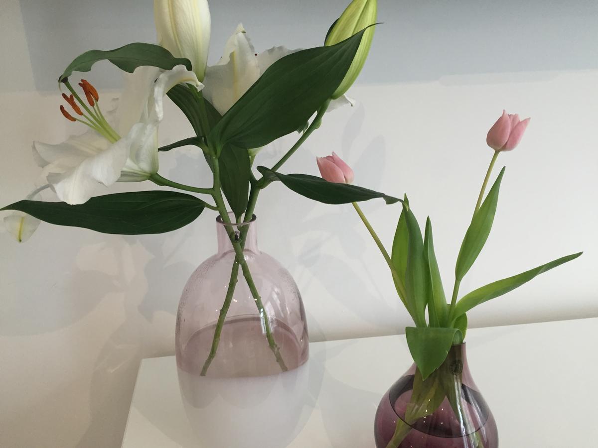 Antwerp Business Suites Luaran gambar